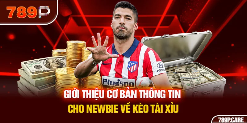 Giới thiệu cơ bản thông tin cho newbie về kèo tài xỉu